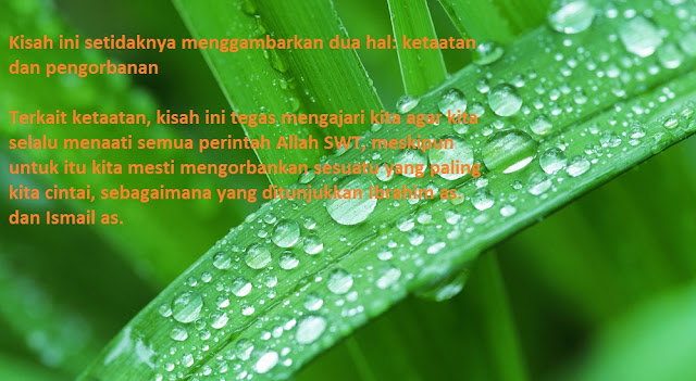Makna Idul Adha Makna Idul Adha