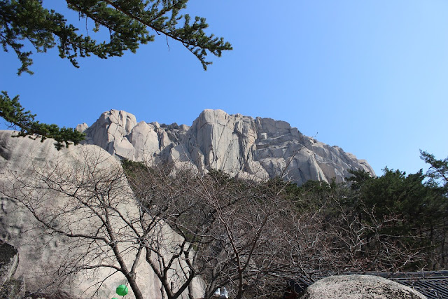 Gunung Logan Gunung Logan