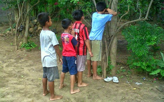 Permainan Tradisional Petak umpet Permainan Tradisional Petak umpet