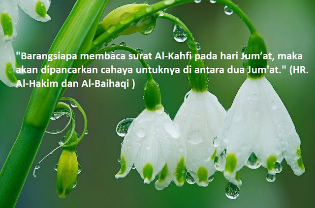Keutamaan Membaca Surat Al Kahfi 