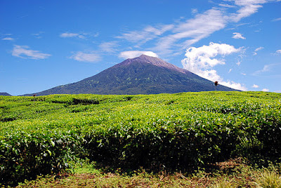 Gunung Kerinci Gunung Kerinci