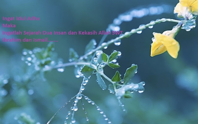 Sejarah Idul Adha Sejarah Idul Adha