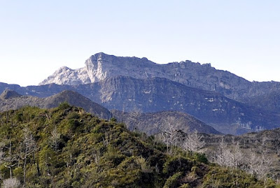 Puncak Trikora Puncak Trikora